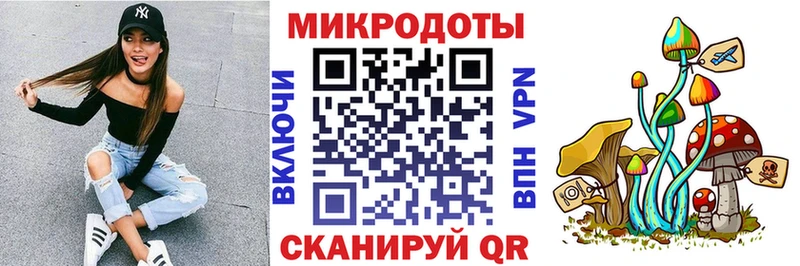 Псилоцибиновые грибы Psilocybe  Олёкминск 